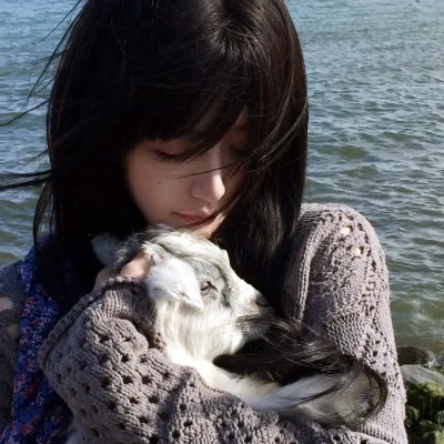 舞姬 海报