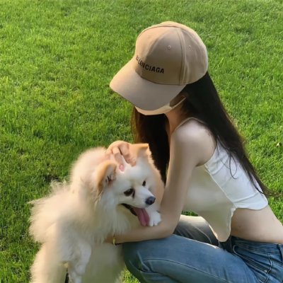 公猫 海报